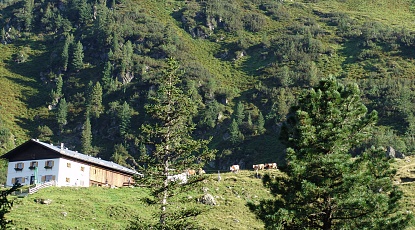 MTB - Alpine Overnight Tour