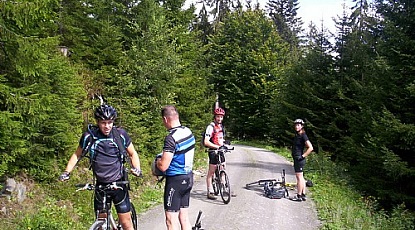 Rast im Wald