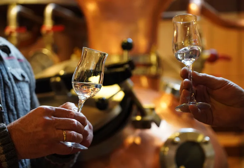 Two people toasting with schnapps glasses in a distillery setting.