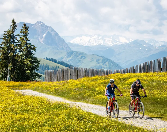 Two cyclists ride on a path through a meadow with mountains in the background.