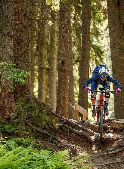 Person mountain biking through a dense forest trail with visible tree roots and lush greenery.