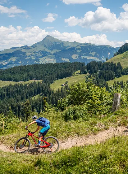 Two cyclists ride on a mountain trail in the Kitzbühel Alps with a scenic view of rolling hills and distant peaks.