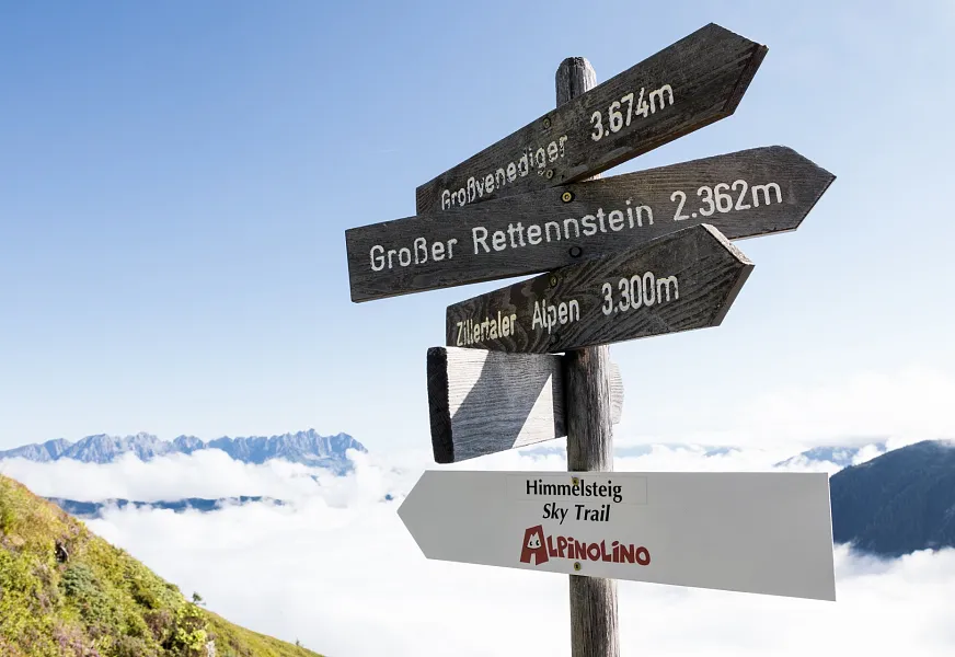 Holzskulptur eines Hahns auf einem Holzhäuschen im Grünen am Wanderweg in den Alpen.