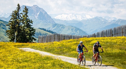 Roadbiking & Mountainbiking