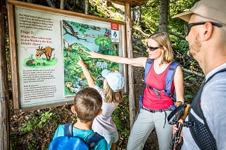 Rätseltour am Gaisberg